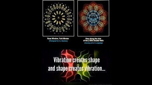 vibrace